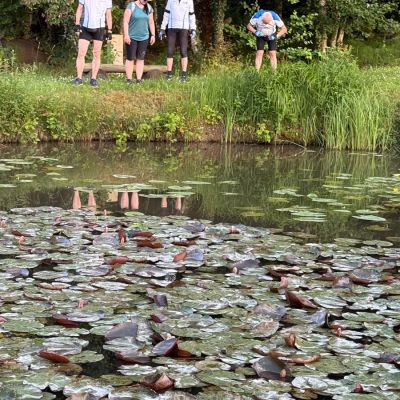 8. beim seerosenweiher